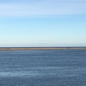 Meet your Posher, Jan